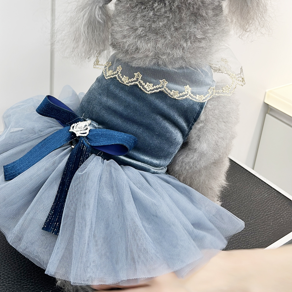 先生たちの愛犬へ…♪